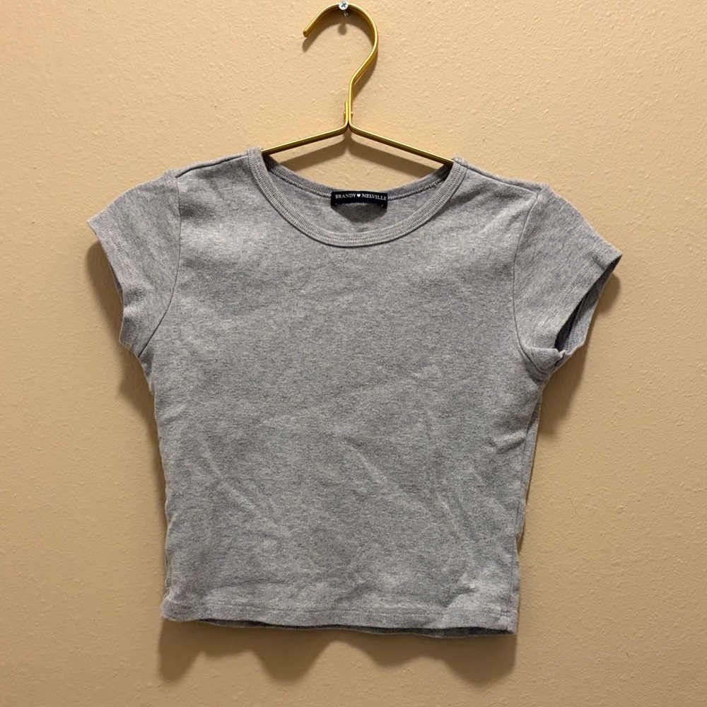 Brandy Melville Gray Crop Top
